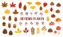 秋の植物の手書きベクターイラストセット／紅葉・イチョウ・どんぐり・栗・きのこ・赤い実