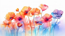 Red Poppies Watercolor Delicate Drawing Of Wild Flowers In A Field On A White Background.