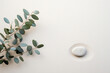 Serenity- Eucalyptus Branch and a Pebble Rock on Sand for Background Template with Empty Space for Copy or Product