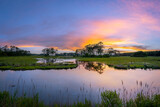 Fototapeta Zachód słońca - Chincoteague Island marsh sunset in Virginia 