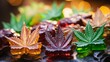 Cannabis shape edibles, medical marijuana, CBD CBG infused gummies and edible pot concept theme with close up on dark background with copy space.