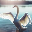 Swan standing in the lake wings spread in a winter sunny day