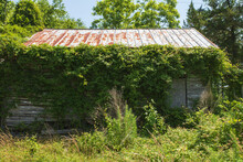 Side Of An Abandoned House In An Overgrown Lot In Rural North Carolina