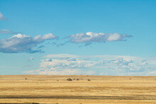 View Of Grasslands Along New Mexico 120 Between Wagon Mound And Roy