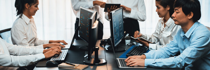 Wall Mural - Software development team working together in office, coding script display on computer monitor. Programmer and software engineer working in tech developer company. Trailblazing