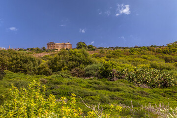 Canvas Print - Remains of Greek temples