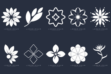 Wall Mural - Floral ornament logo. Abstract beauty flower set logo design collection