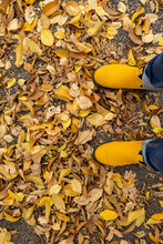 Yellow Boots In Yellow Leaves In Autumn