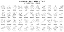 Spices And Herbs Icons. Spices Icon Set. Herb Icon Set. Line Icons. Vector Illustration. Editable Stroke.