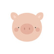 cute pig face illustration vector white background