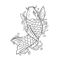 Wall Mural - Koi fish tattoo with water splash Asian or Japanese style. Illustration with white background.	
