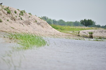 Sand and water in Danube Delta wild area