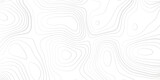 Fototapeta Do przedpokoju - Panorama view gradient multicolor wave curve lines banner background design. Vector illustration. wave Line topography map contour background .Abstract Topographic map background with wave line.