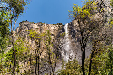 Canvas Print - Bridalveil Fall in Yosemite National Park.