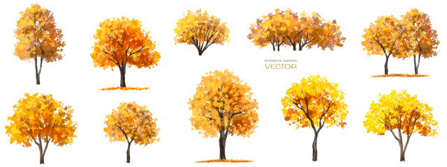 Wall Mural - vector watercolor tree or forest side view isolated on white background for landscape and architectu