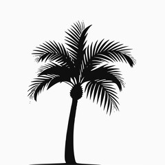 palm tree silhouette