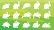 vector set of white rabbit in different poses. Adorable mammal animal. Hare with long ears and short tail - Vector