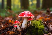 Toadstool In The Autumn Forest. Red Fly Agaric Mushroom In Close-up View As Fungal Element Of Nature: Generative AI