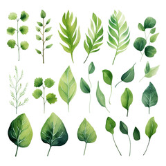 Set of watercolor green leaves elements, Generative AI