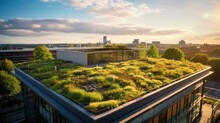 A Green Roof Installation On A Sustainable Building. Generative AI