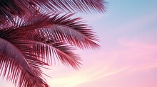 Palm Leaves Against Clear Evening Pink Sky With Copy Space