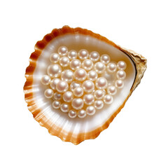 Wall Mural - shiny pearls in shell isolated on transparent background cutout , generative ai