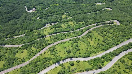 Sticker - Drone footage over turning roads in the middle of forest trees