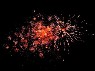 Canvas Print - fireworks with different colors is in the air as if to show off