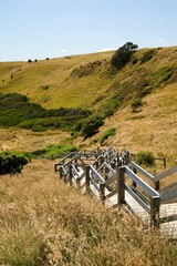 Poster - Rustic wooden staircase with a pathway winding through a lush green hillside