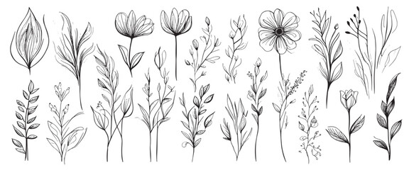 Wall Mural - minimal botanical summer graphic sketch line art drawing, trendy tiny design, leaf elements vector illustration