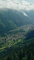 Poster - Landscape scene of vegetation green of Valley Chamonix Alps with a snowy top, vertical shot