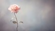 a single pink rose with leaves on a stem on a gray background.  generative ai