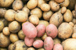 viele verschiedene Kartoffeln Hintergrund Sorten Arten 