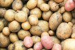 Kartoffel Hintergrund Kartoffeln 