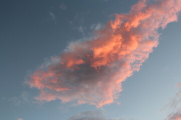 Wall Mural - Cotton candy skies during hurricane season