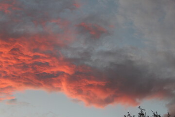 Wall Mural - Cotton candy skies during hurricane season