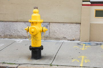 Wall Mural - fire hydrant on a city street embodies preparedness, safety, and urban infrastructure, serving as a symbol of protection and readiness for potential emergencies