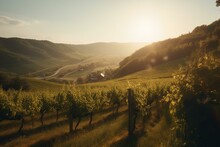Sun-drenched Vineyard Amid Hills Growing Grapes For White Wine In Styria Austria. Generative AI