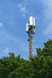 tall cell phone antenna mast over trees with blue cloudy sky