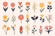© ChaoticMind - Flowers and herbs mega set graphic elements in flat design. Bundle of abstract wildflowers, daisy, rose, hyacinth and other meadow blossoms, plants with leaves