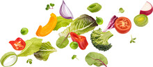 Falling Vegetables, Fresh Salad Of Bell Pepper, Tomato And Lettuce Leaves