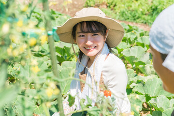 Poster - 畑で野菜・ミニトマトを収穫する農家・生産者の女性・男性・夫婦（アジア人・日本人・中国人）
