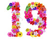 © rozi - The shape of the number 19 is made of various kinds of flowers petals isolated on transparent background. suitable for birthday, anniversary and memorial day templates
