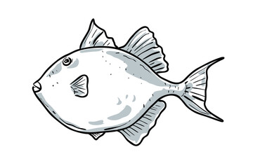 Wall Mural - Cartoon style drawing sketch illustration of a Gray Triggerfish, Balistes capriscus, Grey triggerfish, Leatherjacket, Leatherneck, Taly fish of the Gulf of Mexico on isolated white background.
