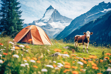 Wall Mural - A camping tent and funny chewing cow on a meadow in Alps with majestic Matternhorn in the background.