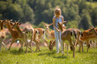 © BGStock72 - Little girl among reindeer herd on the sunny day