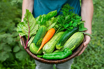 Poster - Vegetable harvest