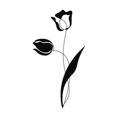 Wall Mural - Tulip flowers leaves icon. Hand drawn linear contour silhouette. Floral drawing, graphic design, print, beauty branding, card, poster, shop logo, sign, symbol. Minimal botanical illustration.