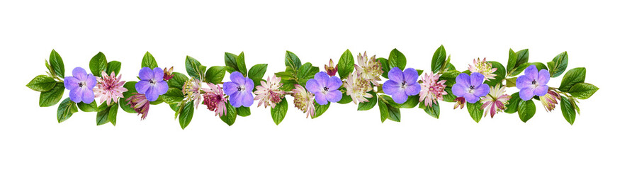 Wall Mural - purple and pink flowers and green leaves in a floral garland isolated on white or transparent backgr