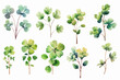© KhWutthiphong - Lucky clover leaves with four leaf. Patricks day watercolor clipart